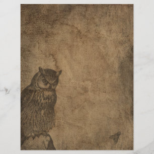 Vintage Owl & Fly Gothic Halloween Scrapbook Paper