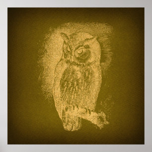 Vintage Owl Illustration Antique Bird Art Green Poster