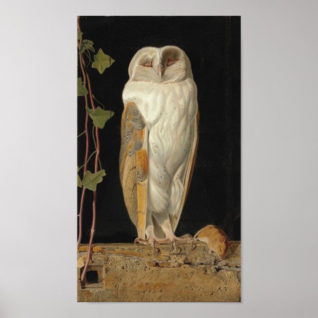 Vintage Owl Image Poster (Front)