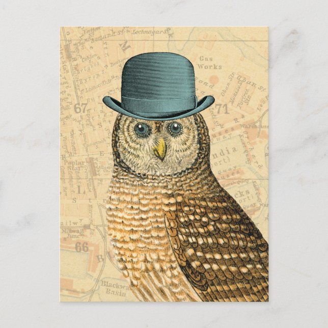 Vintage Owl in Green Derby Hat Postcard (Front)