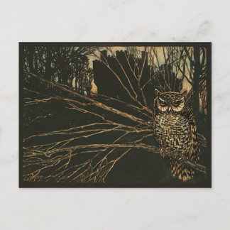 Vintage Owl in the Woods Postcard