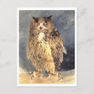 Vintage Owl Painting Postcard