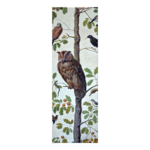 Vintage Owl Photo Print