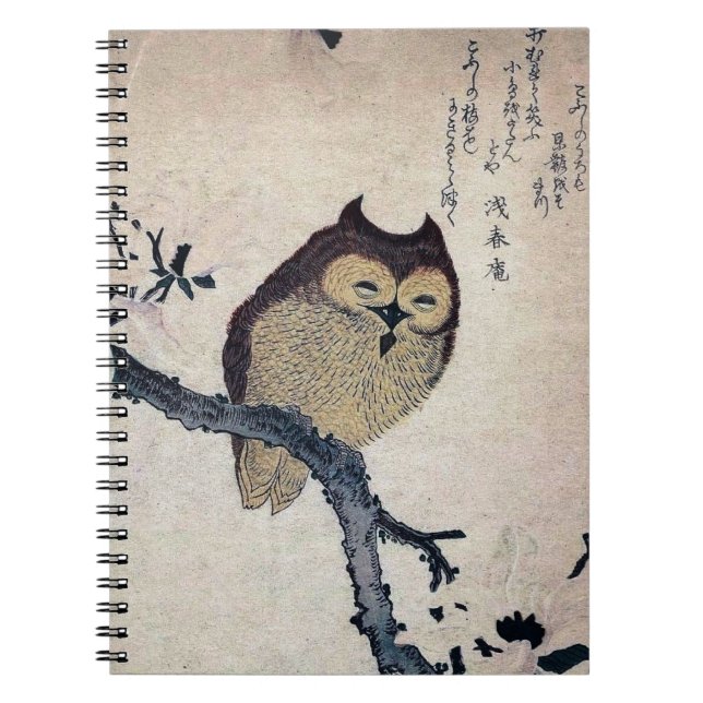 Vintage Owl Spiral Notebook (Front)