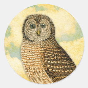 Vintage Owl with Clouds Classic Round Sticker