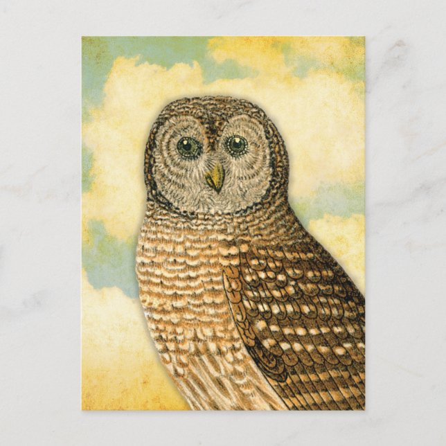 Vintage Owl with Clouds Postcard (Front)