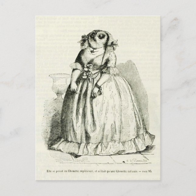 Vintage Owl Woman Postcard (Front)