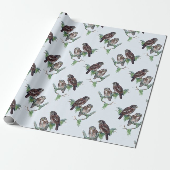Vintage Owl Wrapping Paper (Unrolled)