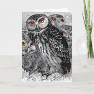 Vintage Owls Greeting Card