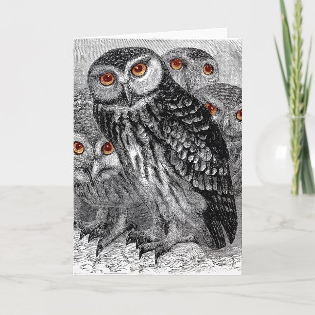 Vintage Owls Greeting Card (Front)