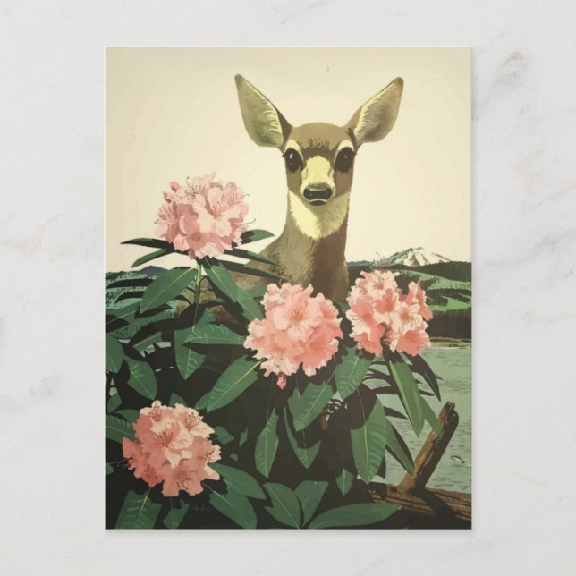 Vintage Pacific North West Illustration Postcard (Front)