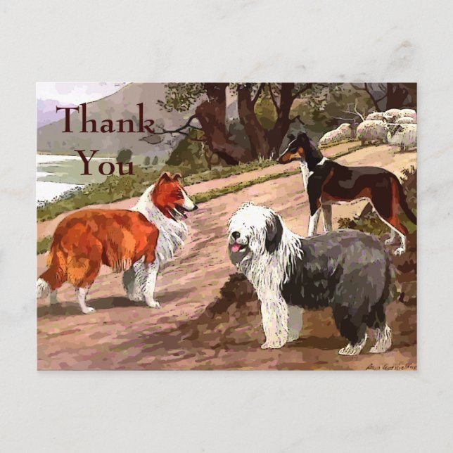 Vintage Painted Collies Postcard (Front)