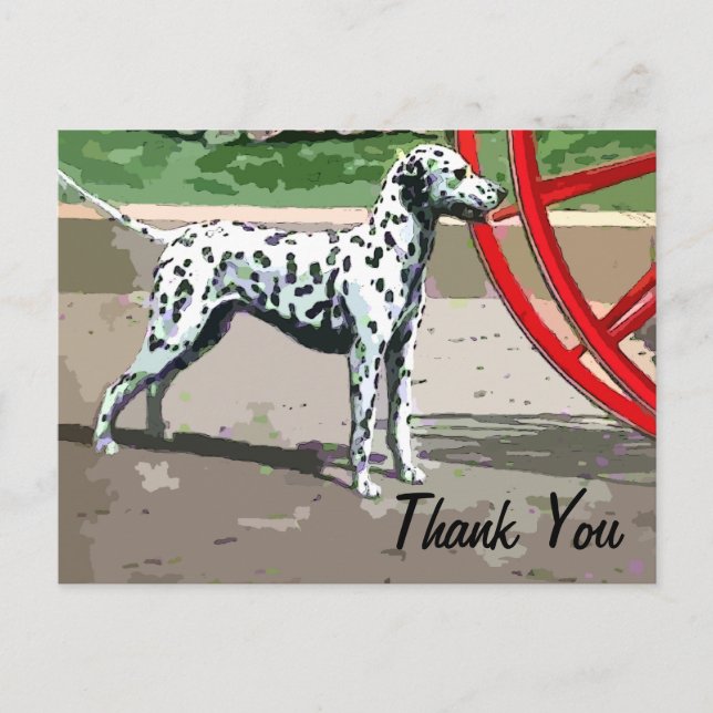 vintage painted dalmatian thank you postcard (Front)