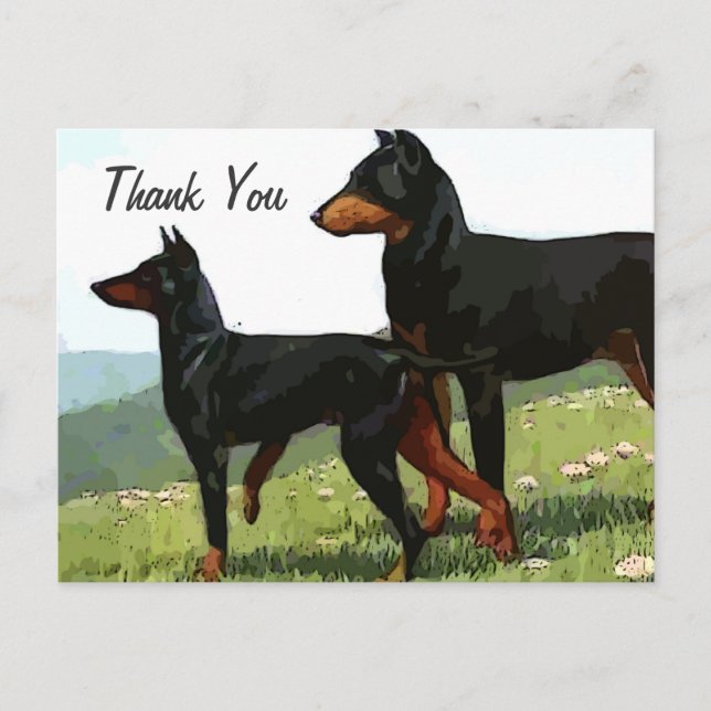vintage painted doberman thank you postcard (Front)