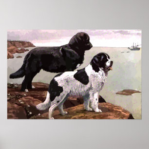 Vintage Painted Newfoundlands Canvas Print