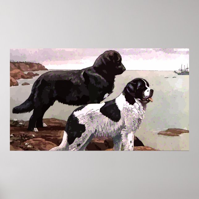 Vintage Painted Newfoundlands Poster (Front)