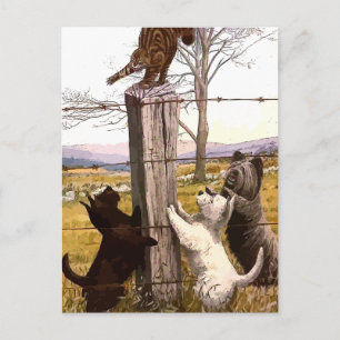 vintage painted terriers with bobcat postcard