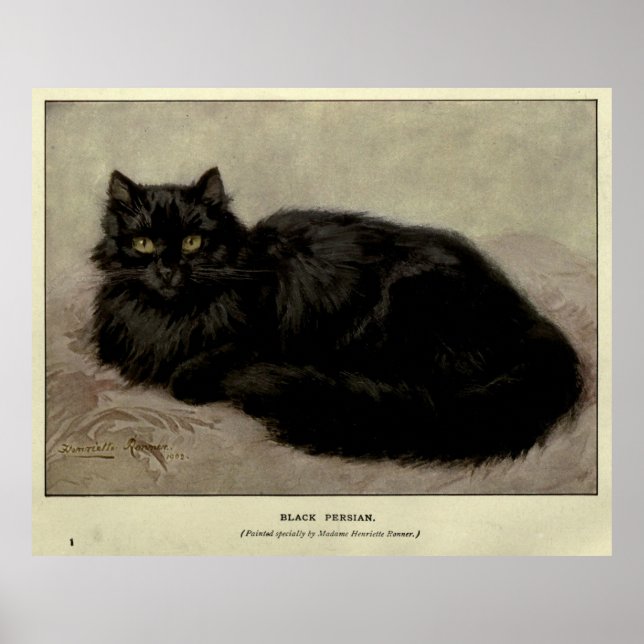 Vintage Painting of a Black Cat (1903) Poster (Front)