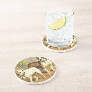 Vintage Painting of English Bulldogs Coaster