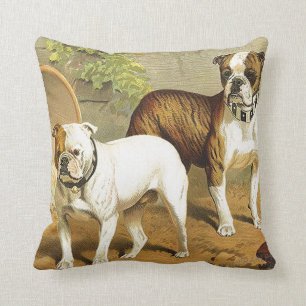 Vintage Painting of English Bulldogs Cushion