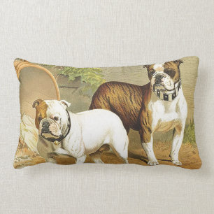Vintage Painting of English Bulldogs Lumbar Cushion