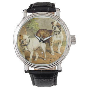 Vintage Painting of English Bulldogs Watch