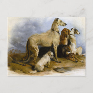 Vintage painting of five cute dogs postcard