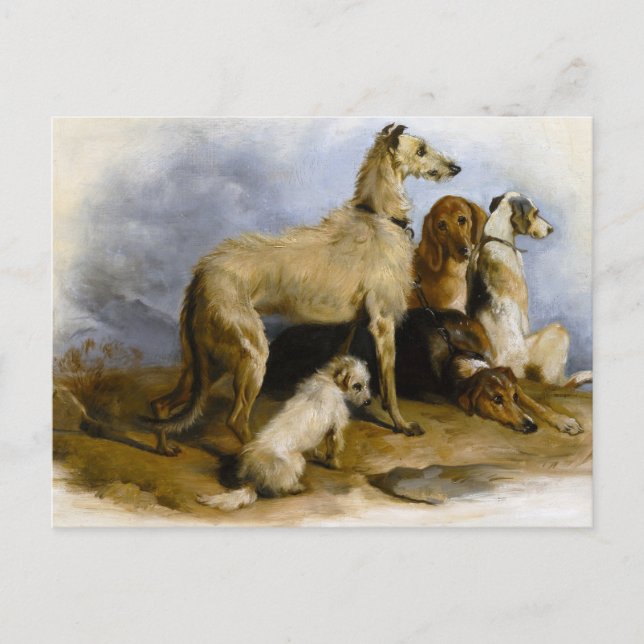 Vintage painting of five cute dogs postcard (Front)