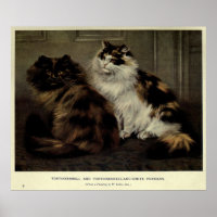 Vintage Painting of Fluffy Cats (1902)