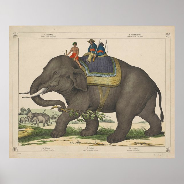 Vintage Painting of Men Riding an Elephant Poster (Front)
