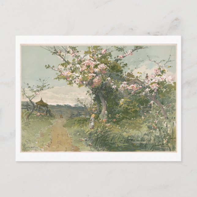 Vintage Painting Spring with Cherry Blossoms Postcard (Front)