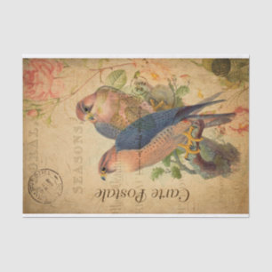 Vintage Pair of Peregrine Falcons Birds French Tissue Paper