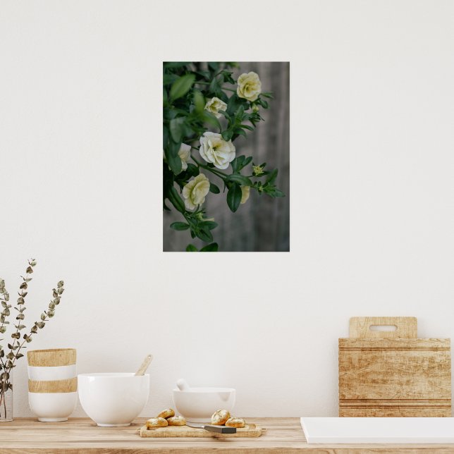 Vintage Pale Yellow Petunias Poster (Kitchen)