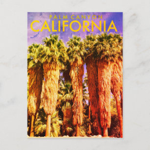 Vintage Palm Canyon Travel Postcard