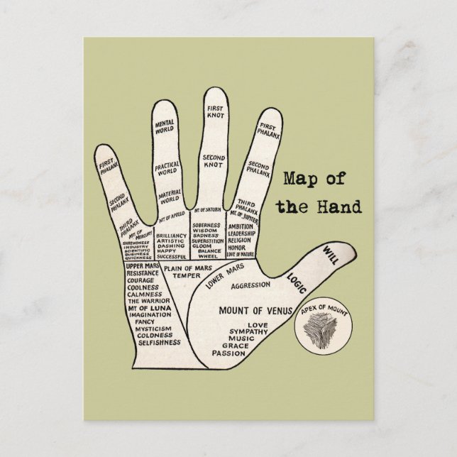 Vintage palm reading palmistry fortune postcard (Front)