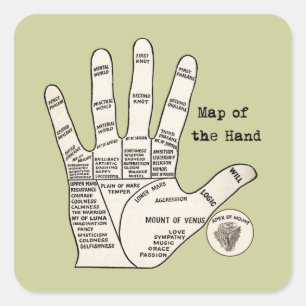 Vintage palm reading palmistry fortune square sticker