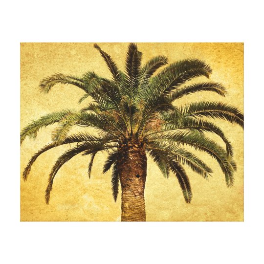 Vintage Palm Tree Tropical Customised Template Canvas Print Zazzle Co Uk
