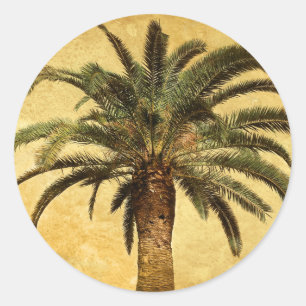 Vintage Palm Tree - Tropical Customised Template Classic Round Sticker