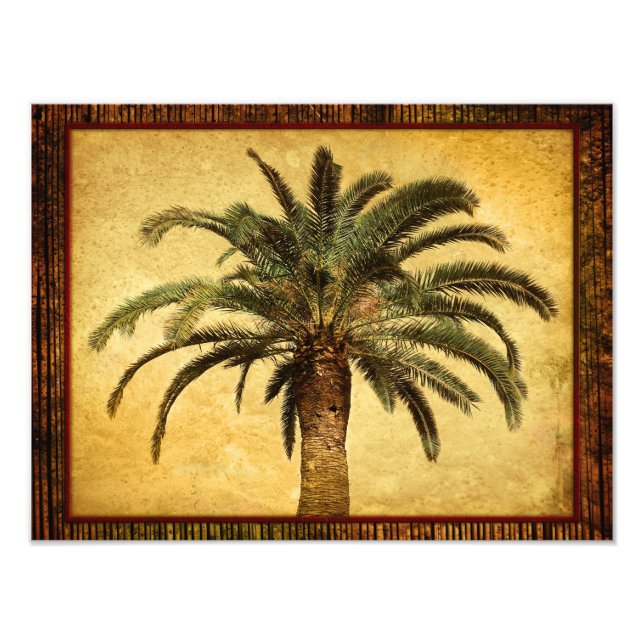 Vintage Palm Tree - Tropical Customised Template Photo Print (Front)