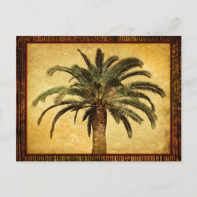 Vintage Palm Tree - Tropical Customised Template Postcard (Front)