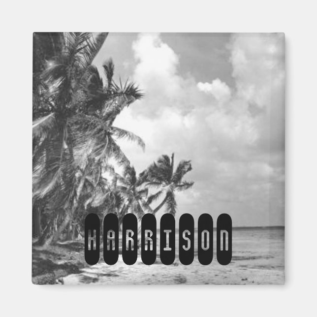 Vintage Palm Trees Personalised Magnet (Front)