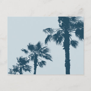 Vintage Palm Trees Postcard