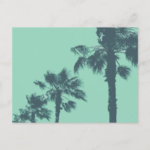 Vintage Palm Trees Postcard