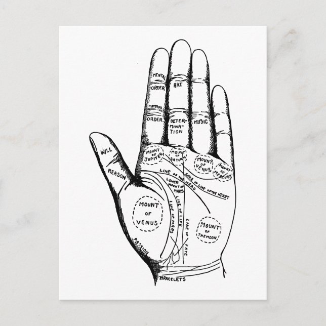 Vintage Palmistry Chart Palm Reading Postcard (Front)