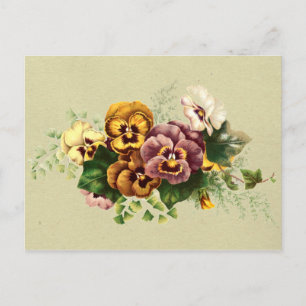 Vintage Pansies Bouquet Postcard