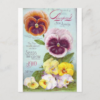 Vintage Pansies Postcard
