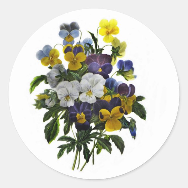 Vintage Pansy Botanical Print Classic Round Sticker (Front)
