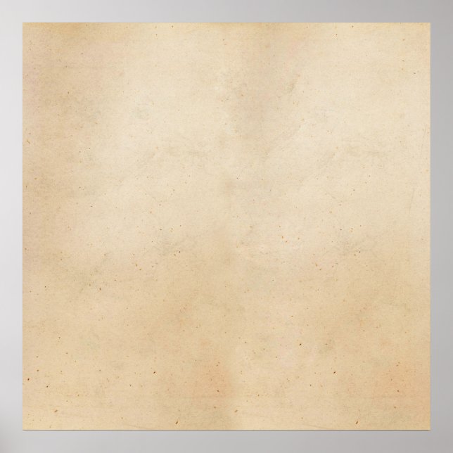 Vintage Paper Antique Parchment Template Blank Poster (Front)