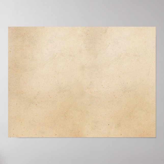 Vintage Paper Antique Parchment Template Blank Poster (Front)