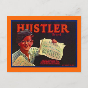 Vintage Paperboy Hustler CA Fruit Crate Postcards